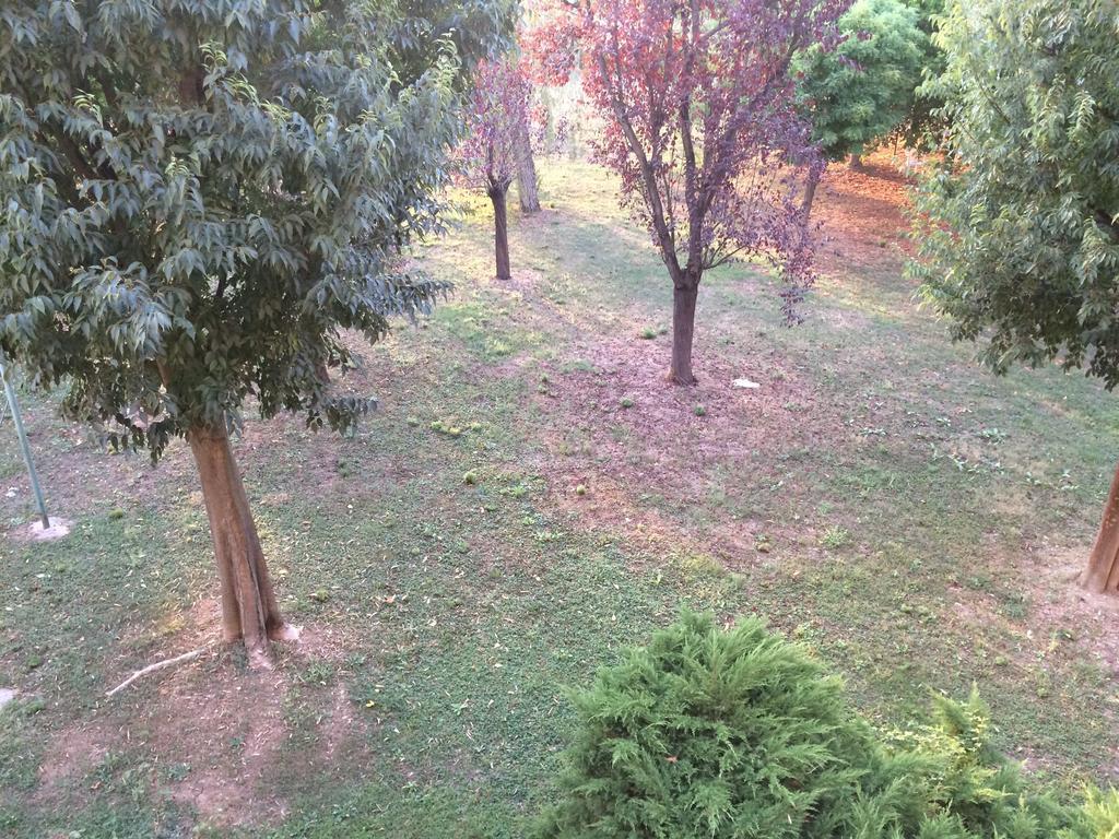 Bed&Breakfast Da Eliana Molinella Exterior foto